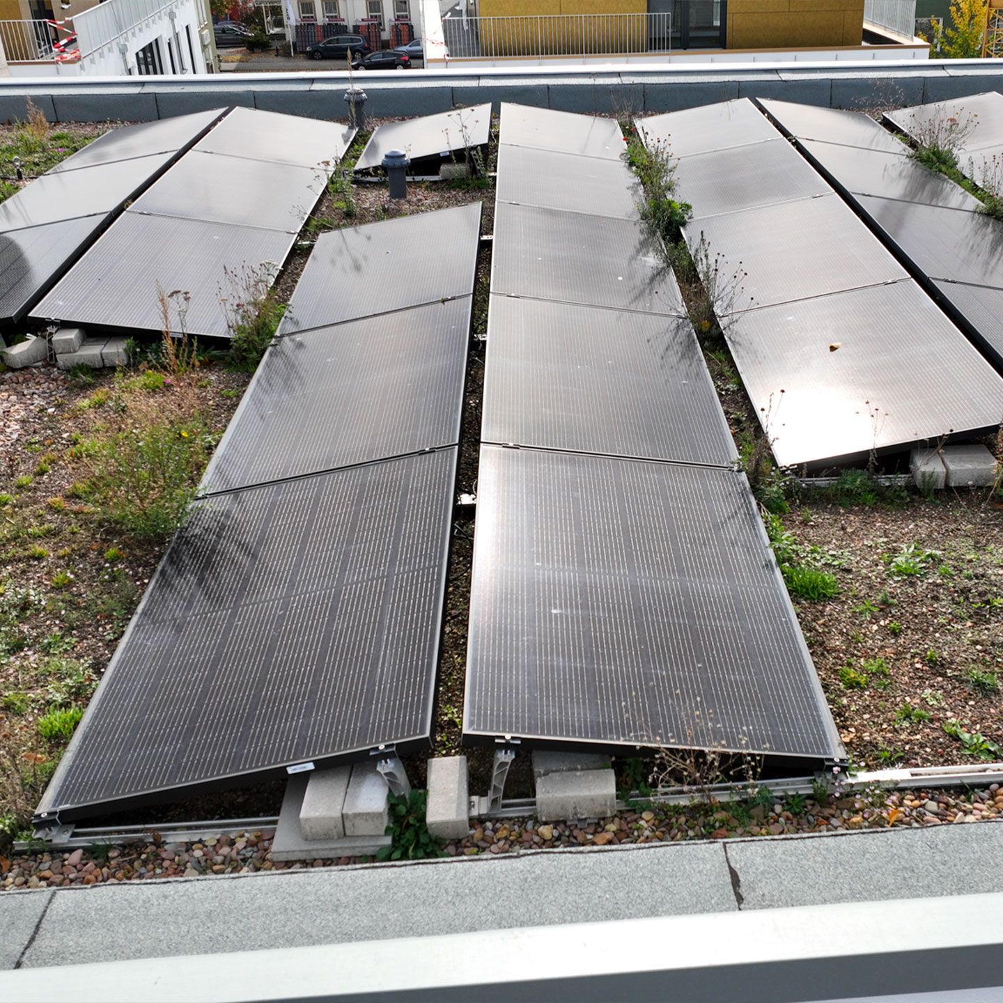 Eine Dachfläche mit Solarpaneelen, umgeben von etwas Gras und Unkraut, in einem urbanen Umfeld.