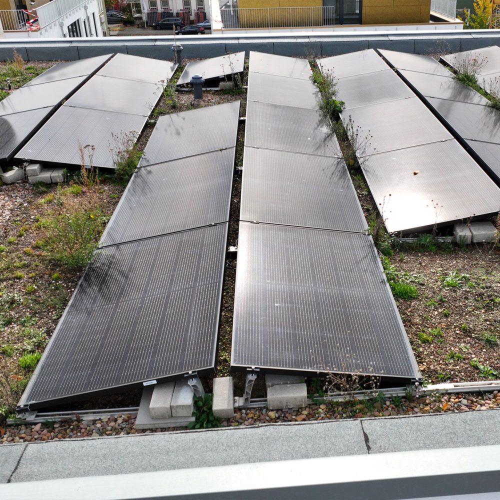 Eine Dachfläche mit Solarpaneelen, umgeben von etwas Gras und Unkraut, in einem urbanen Umfeld.